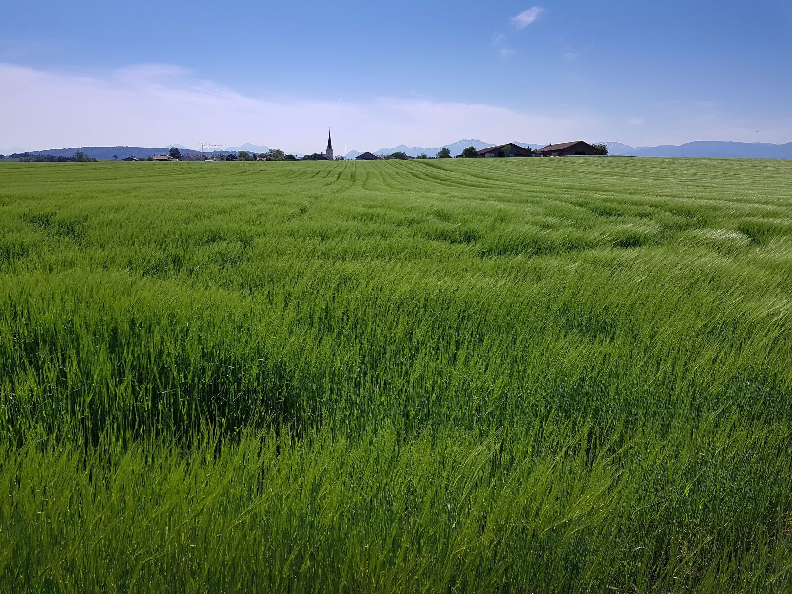 Samsung Galaxy S7 Edge sample photo. Field, arable, landscape photography