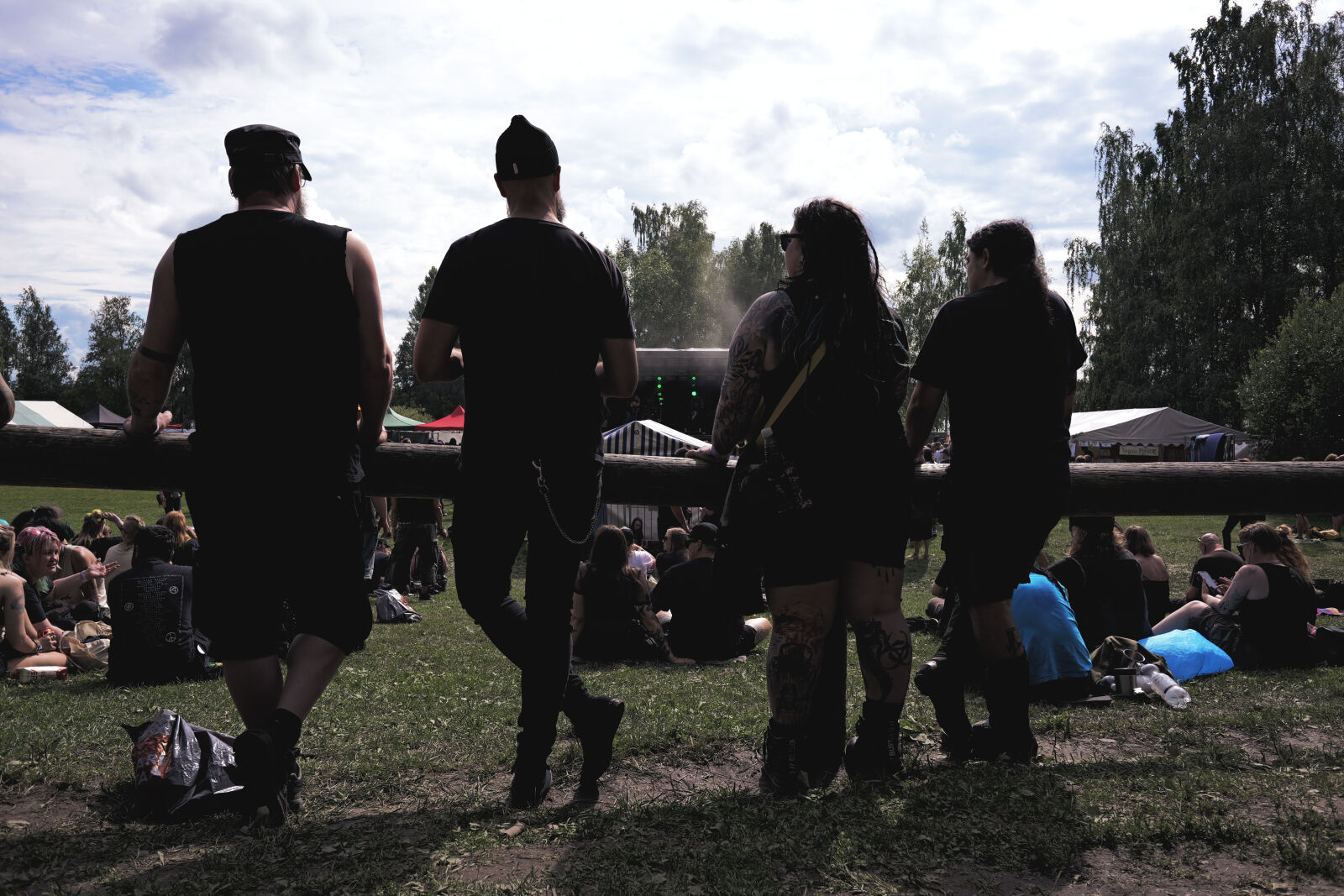 Panasonic Lumix DC-S9 sample photo. Festival goers photography