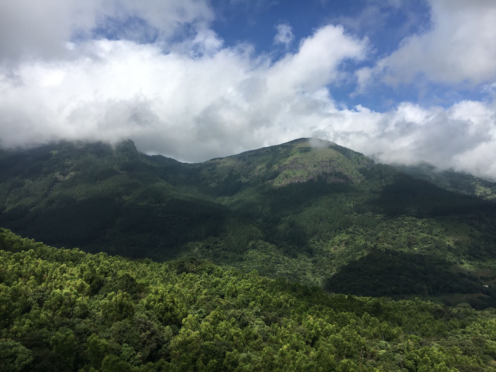Apple iPhone 6s sample photo. Forest, mountain, sky photography