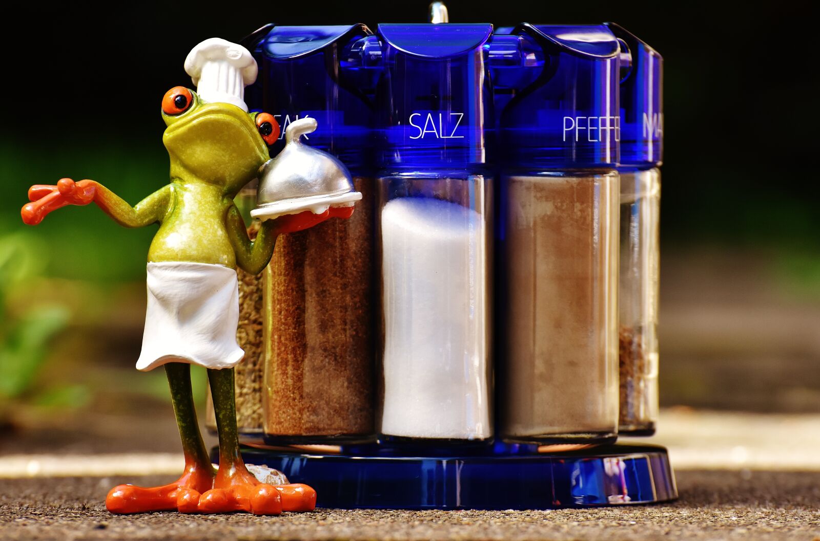 Nikon D7200 sample photo. Frog, cooking, spices photography