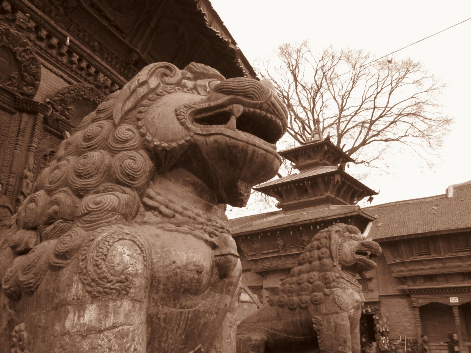 Canon PowerShot ELPH 160 (IXUS 160 / IXY 150) sample photo. Basantapur, royal palace, architecture photography