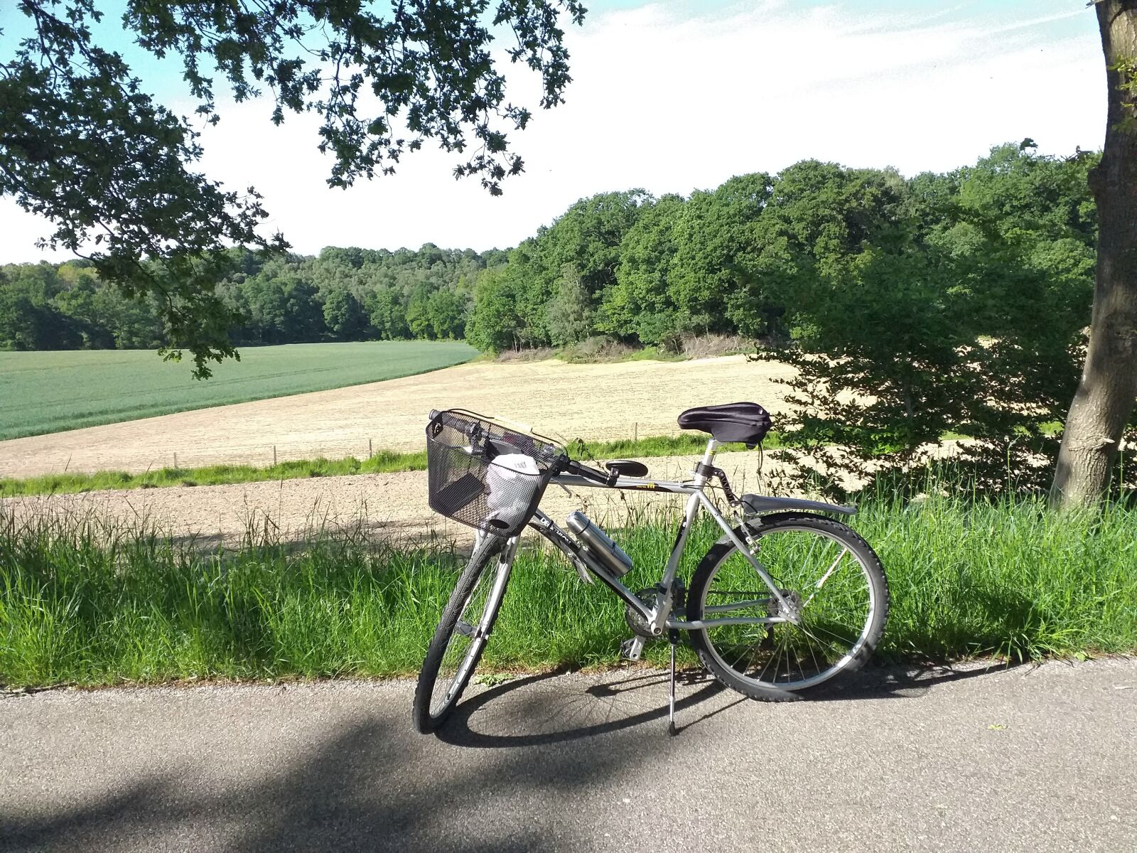 Samsung Galaxy J6+ sample photo. Bike, ride, vote green photography