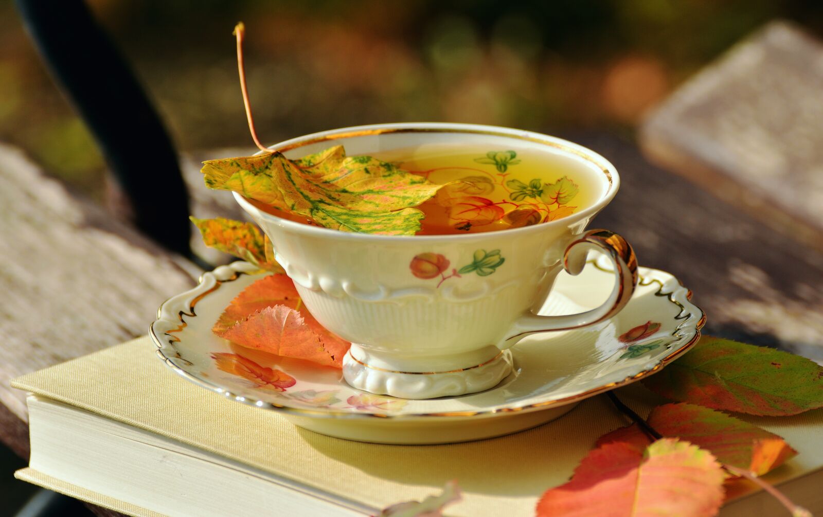 Nikon D5200 sample photo. Tee, teacup, autumn photography