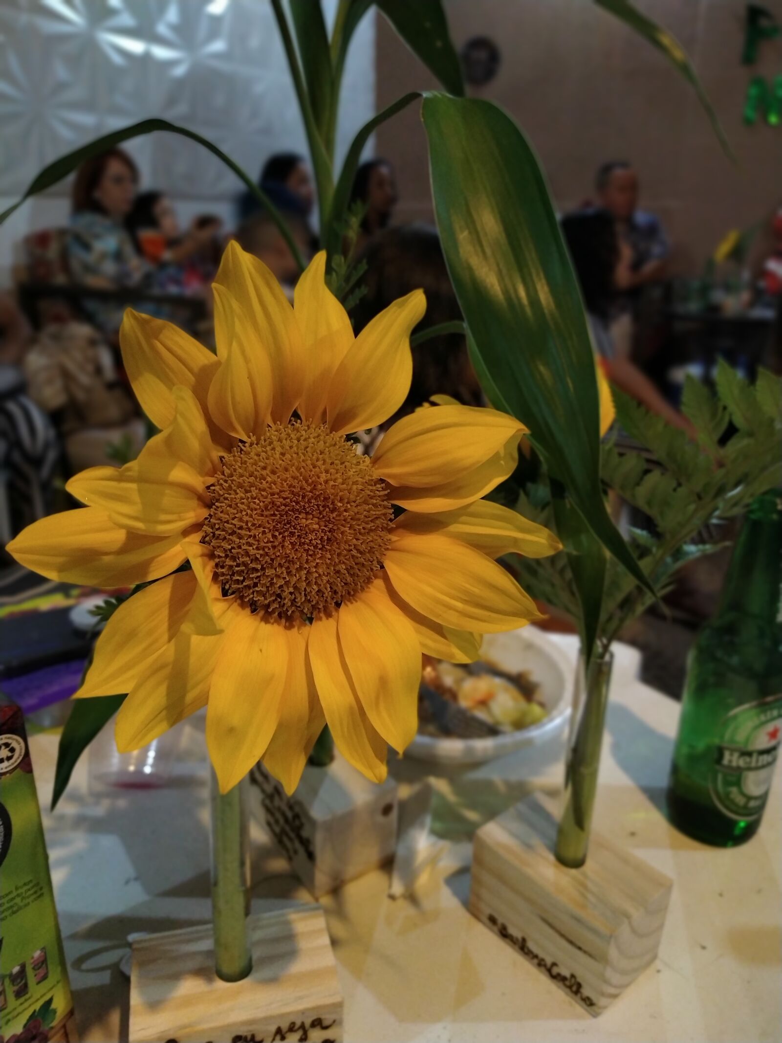 Xiaomi Redmi Note 7 sample photo. Sunflower, christmas, nature photography