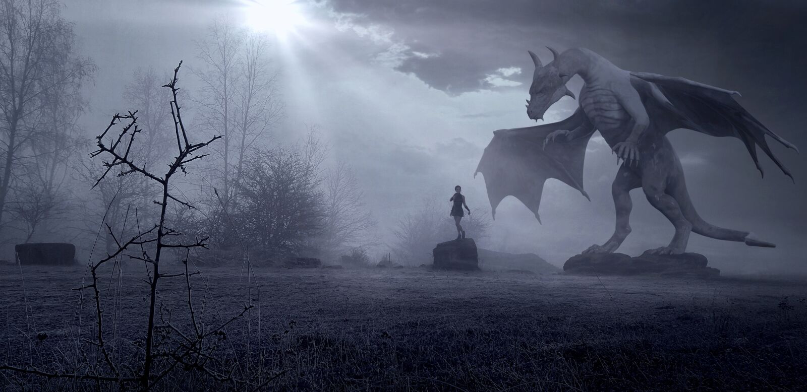 Samsung Galaxy S9 sample photo. Fantasy, dragons, girl photography