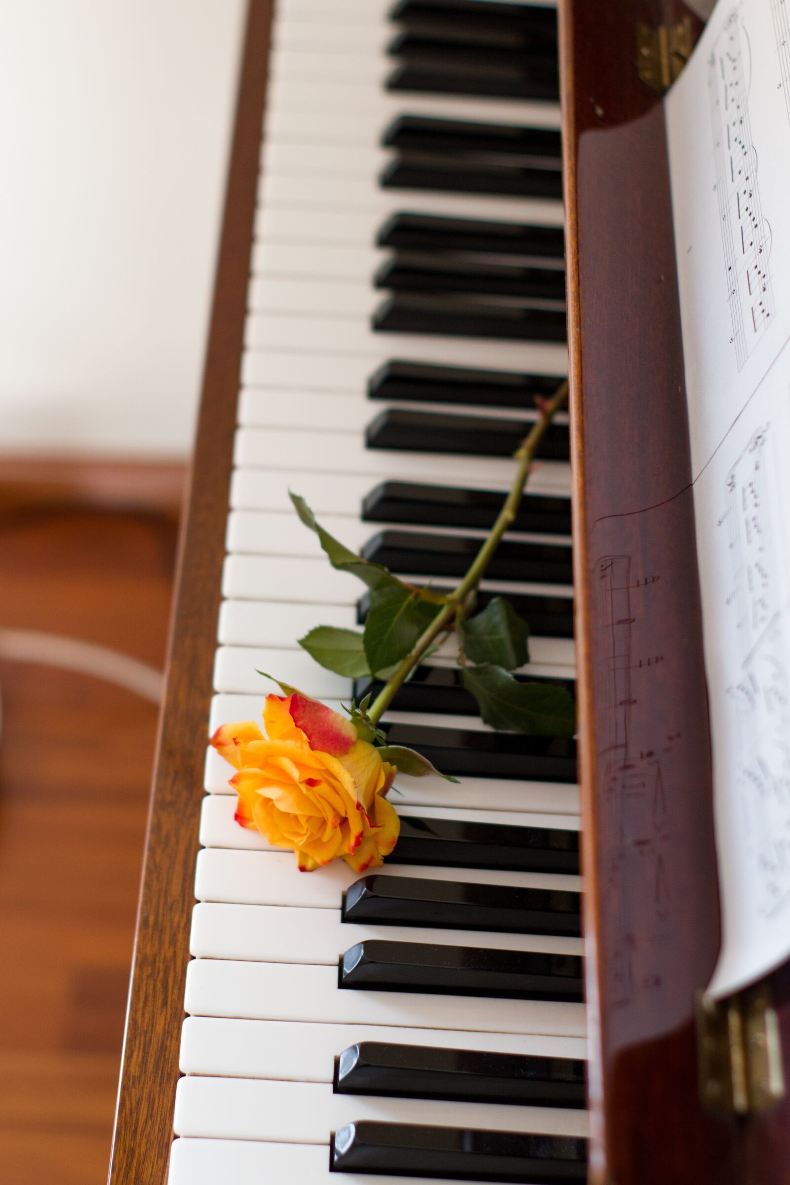 Canon EOS 70D sample photo. Flower, music, piano photography