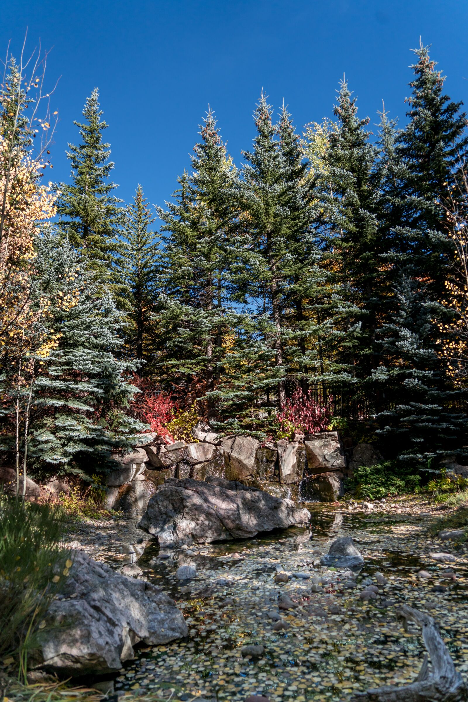 Sony a7R II + Sony FE 24-240mm F3.5-6.3 OSS sample photo. Vail, colorado, autumn photography