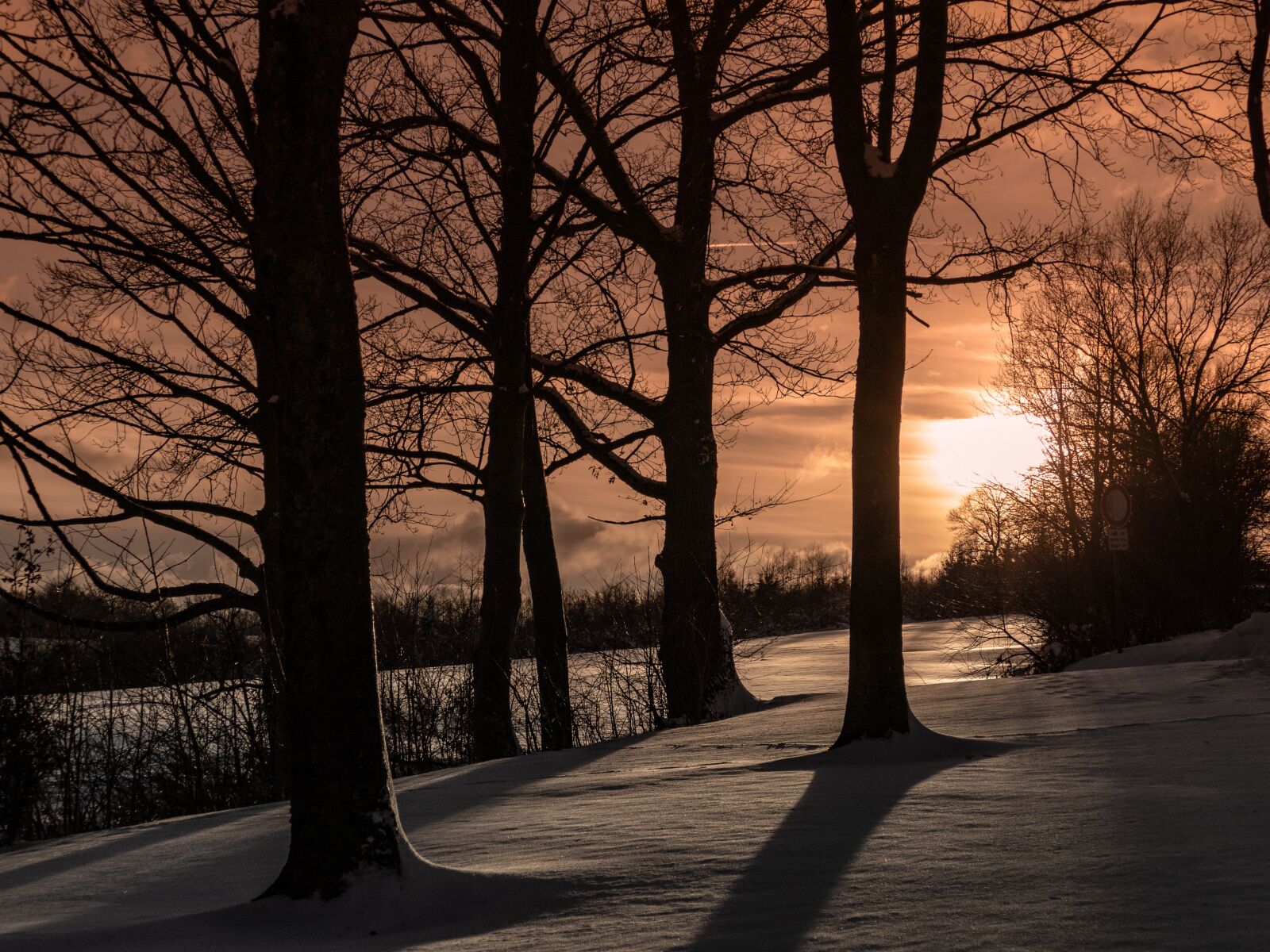 Panasonic Lumix DMC-FZ1000 sample photo. Snow landscape, trees, wintry photography