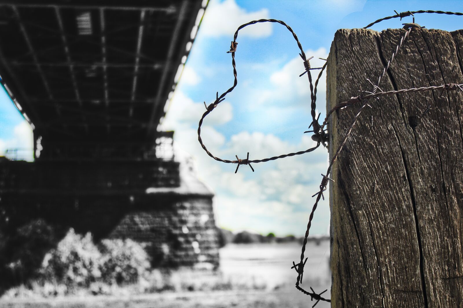 Canon EOS 550D (EOS Rebel T2i / EOS Kiss X4) sample photo. Barbed wire, old, wire photography