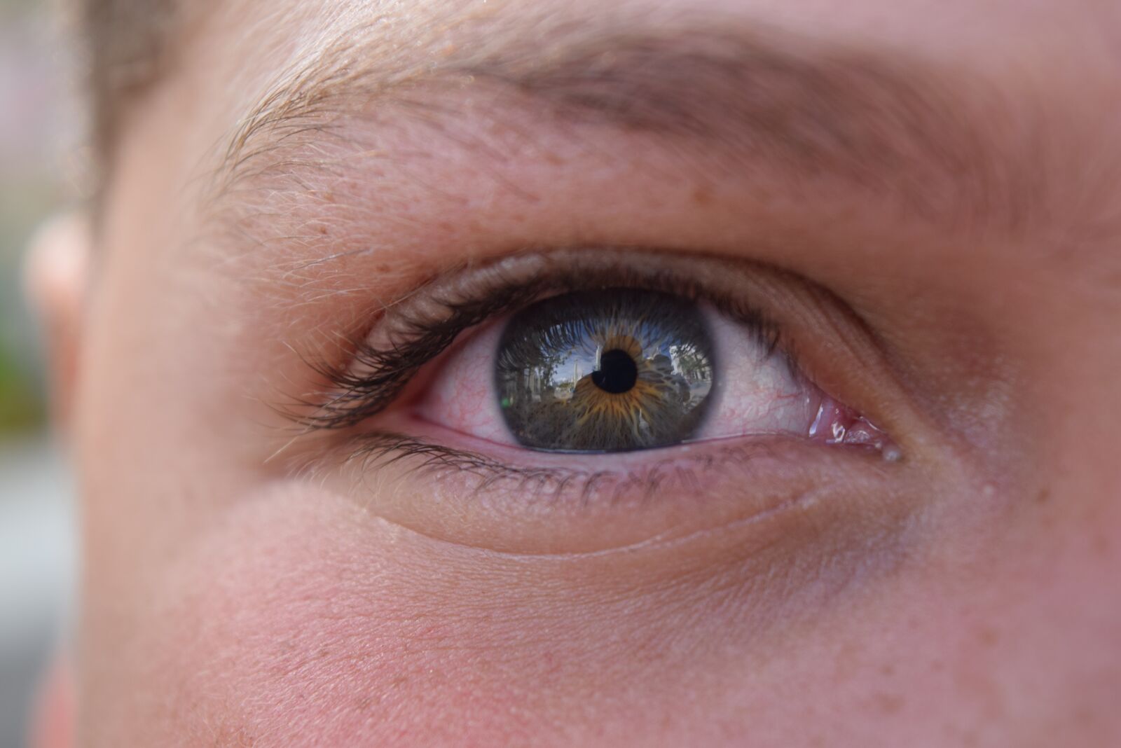 Nikon D3300 sample photo. Eyes, green, person photography