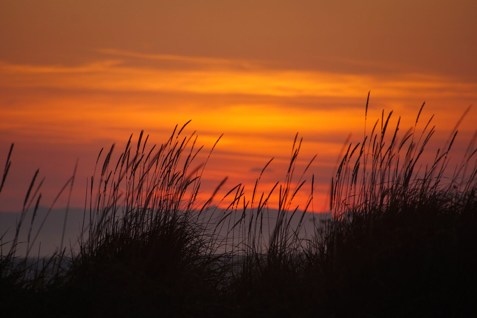 Sony DT 18-250mm F3.5-6.3 sample photo. Sunset, dungeness spit, seascape photography