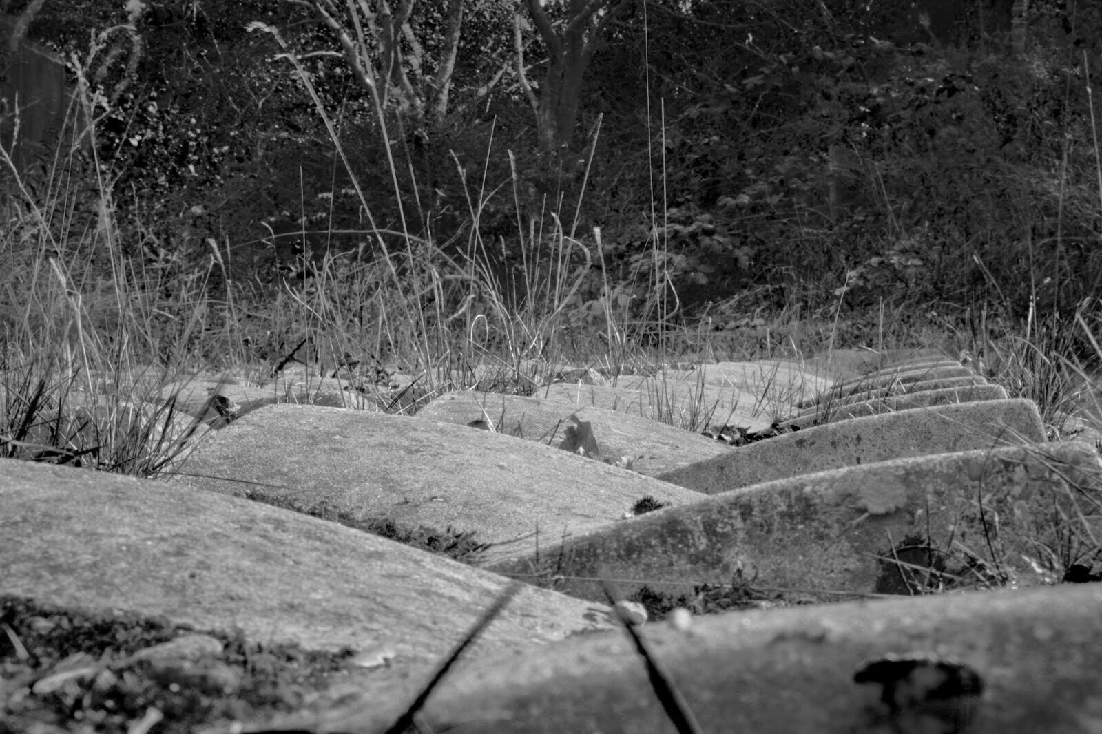 Nikon D5200 sample photo. Concrete, shapes, design photography