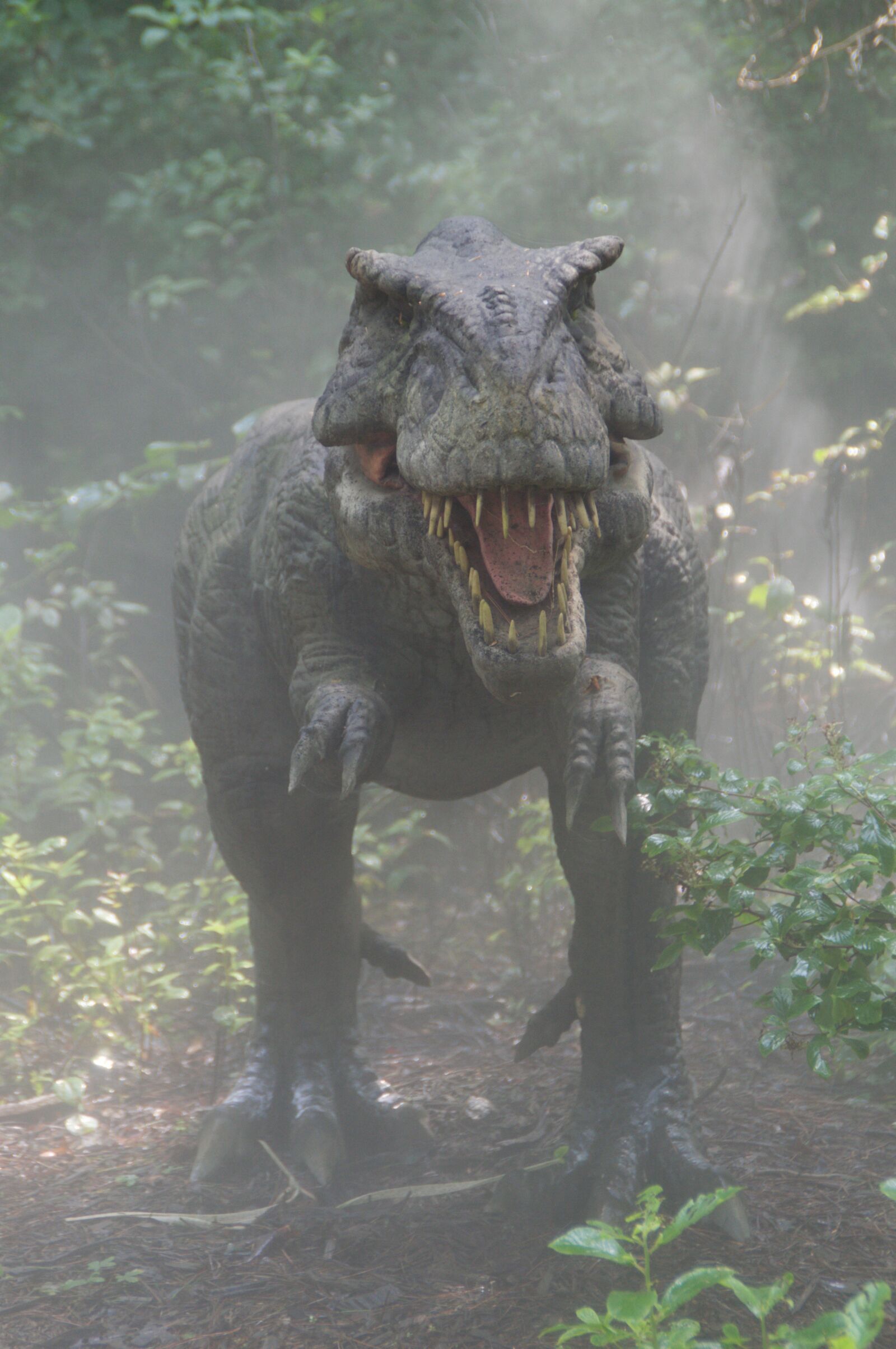 Nikon D3200 sample photo. Dinosaur, mist, fog photography