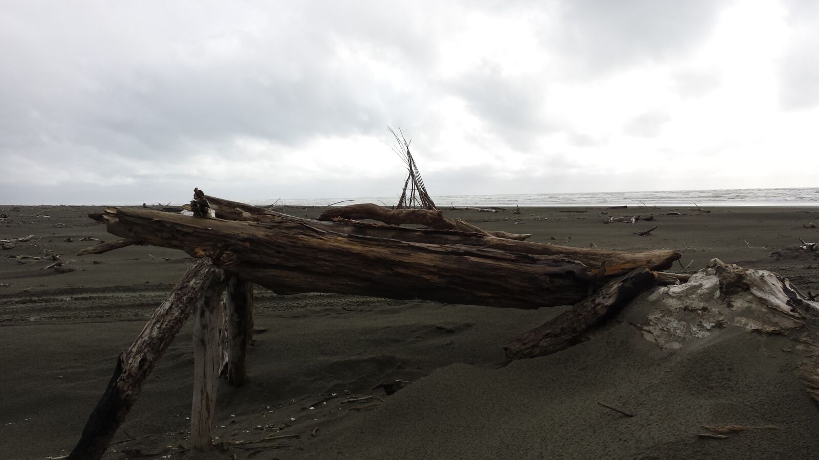 Samsung Galaxy S4 sample photo. Driftwood, wild construction, nature photography