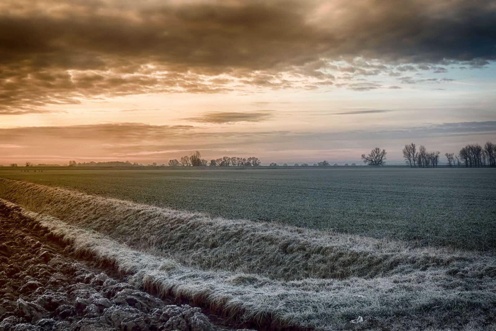 Nikon Coolpix P520 sample photo. Winter sunrise, field, cold photography