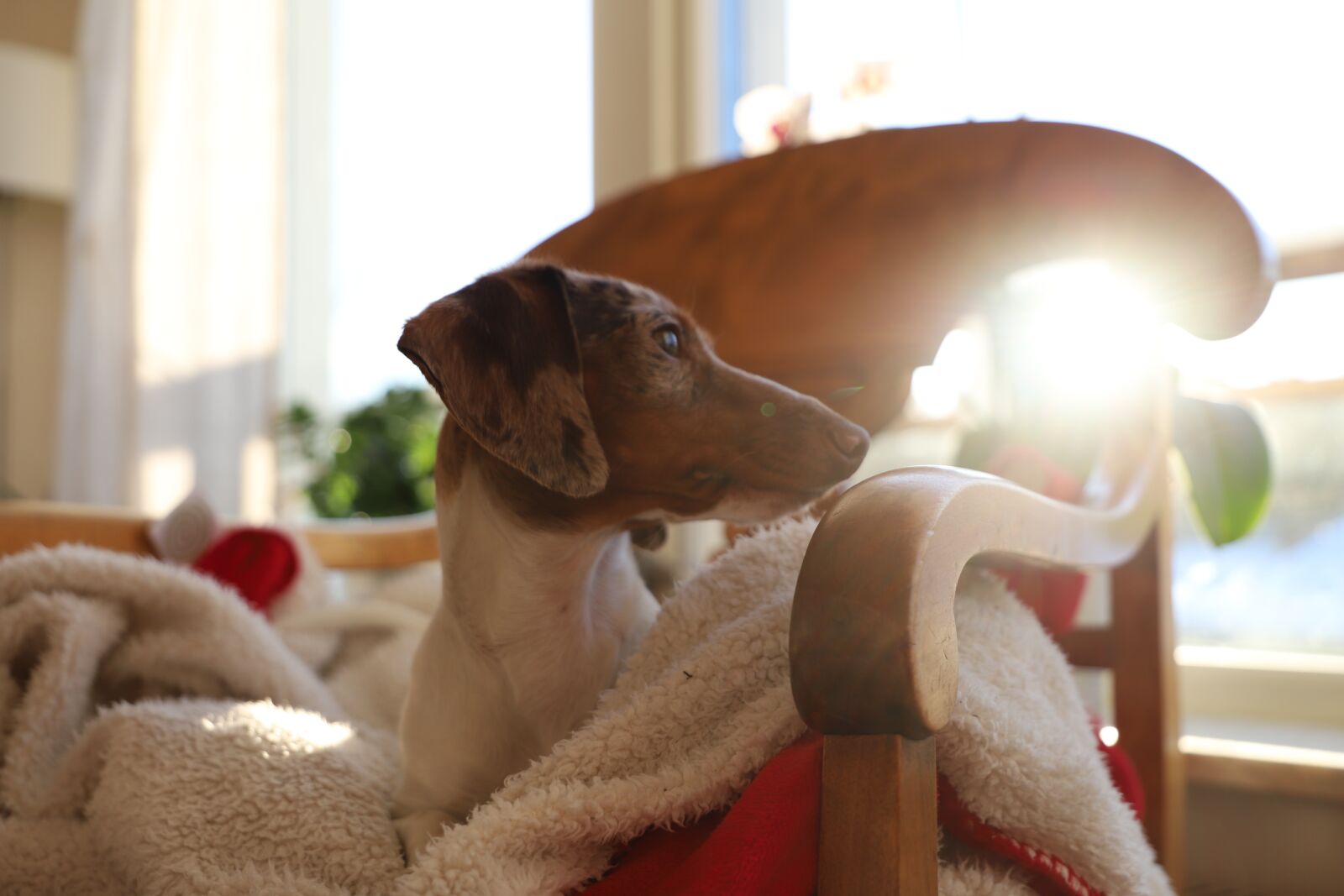 Canon EOS 6D Mark II sample photo. Cute, the simplicity, family photography