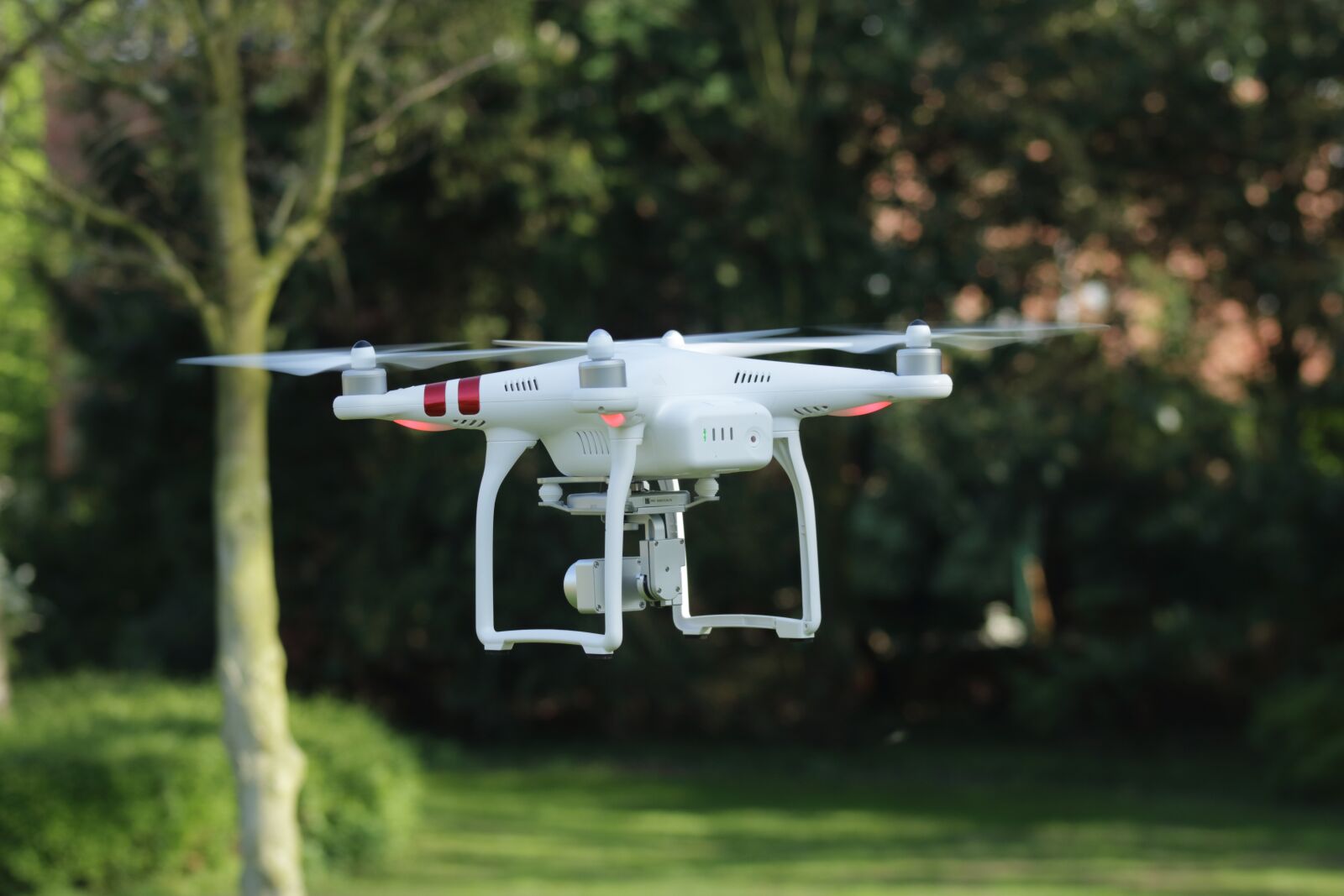 Canon EF75-300mm f/4-5.6 sample photo. Nature, flight, aircraft photography