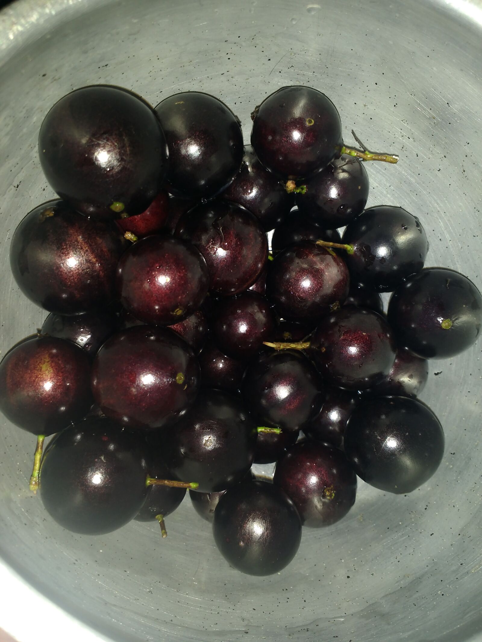 Motorola MotoG3 sample photo. Jabuticaba, fruit, the fruit photography