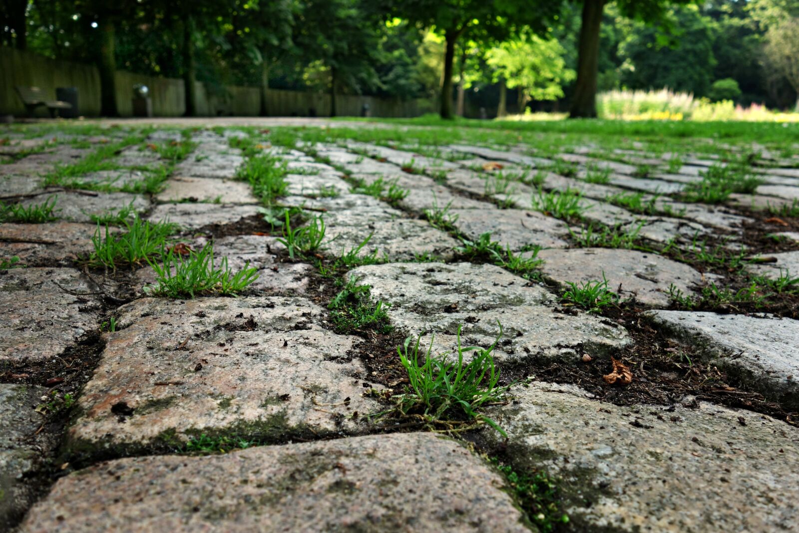 Sony Cyber-shot DSC-RX100 sample photo. Stone, cobblestone, cobbles photography