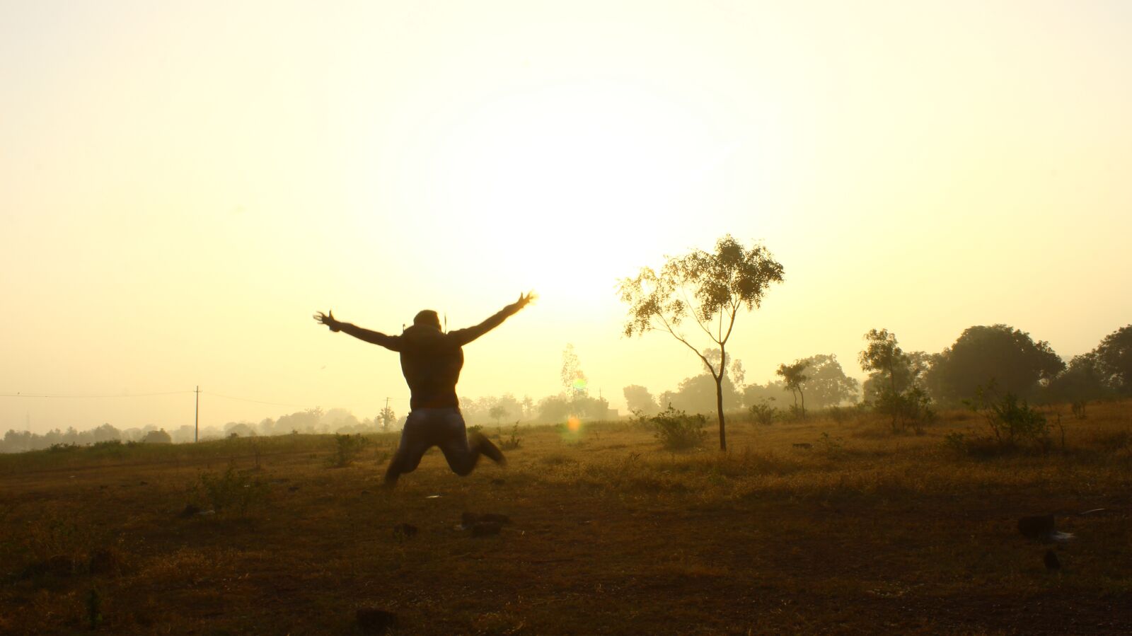 Canon EOS 600D (Rebel EOS T3i / EOS Kiss X5) sample photo. Sunrise, nature, tree photography
