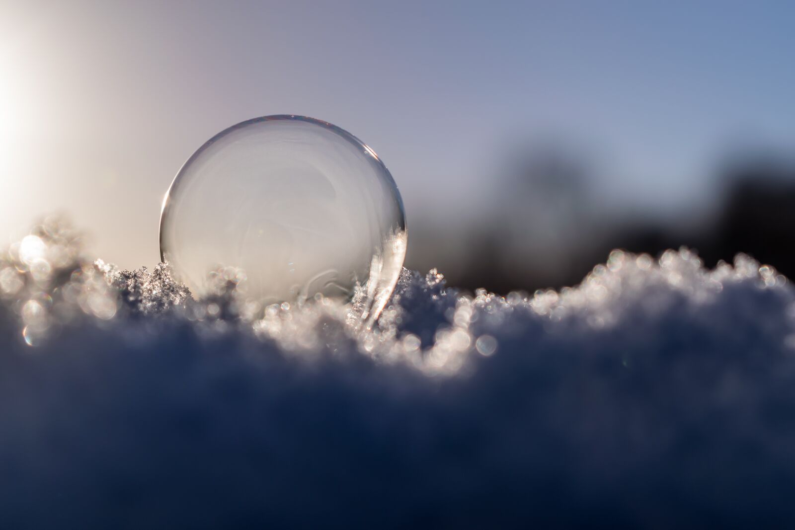 Nikon D5300 sample photo. Soap bubble, sun, blue photography