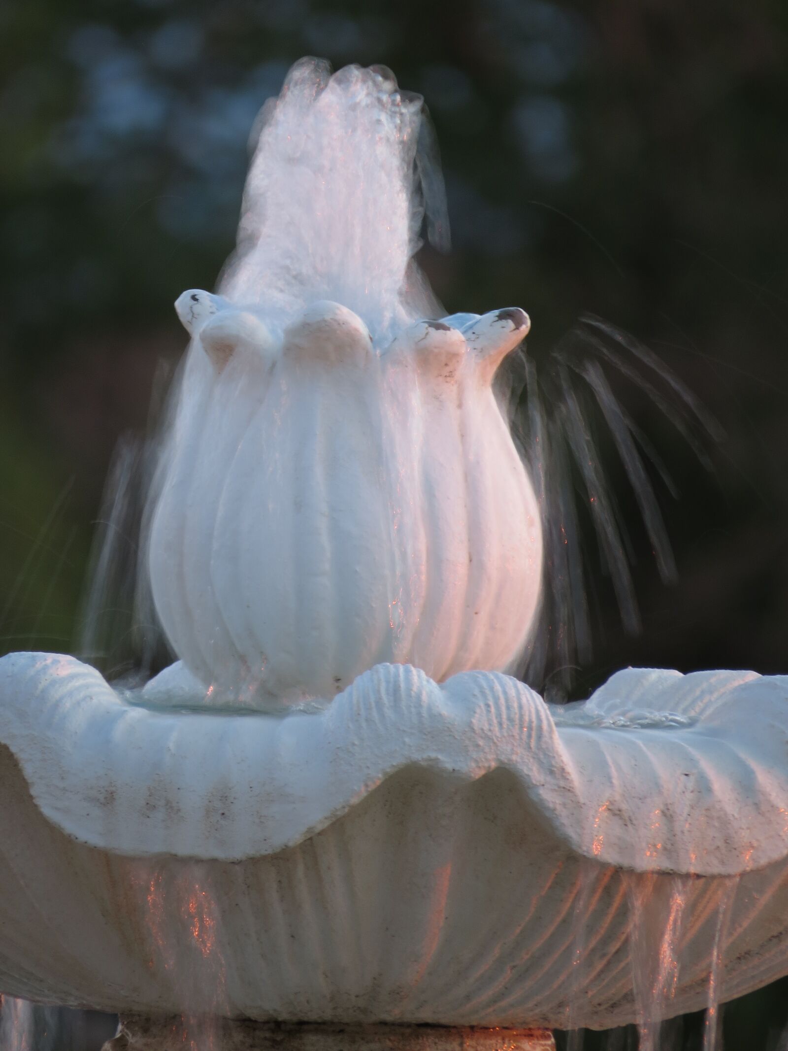 Canon PowerShot SX50 HS sample photo. Fountain, water, beauty photography