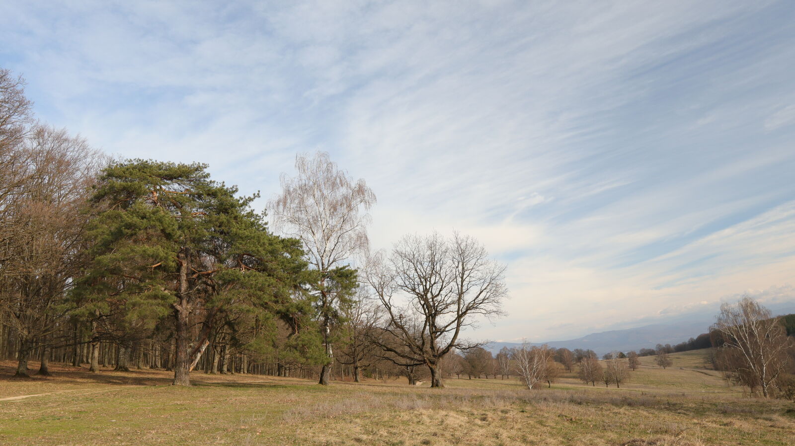 Canon EOS M50 (EOS Kiss M) sample photo