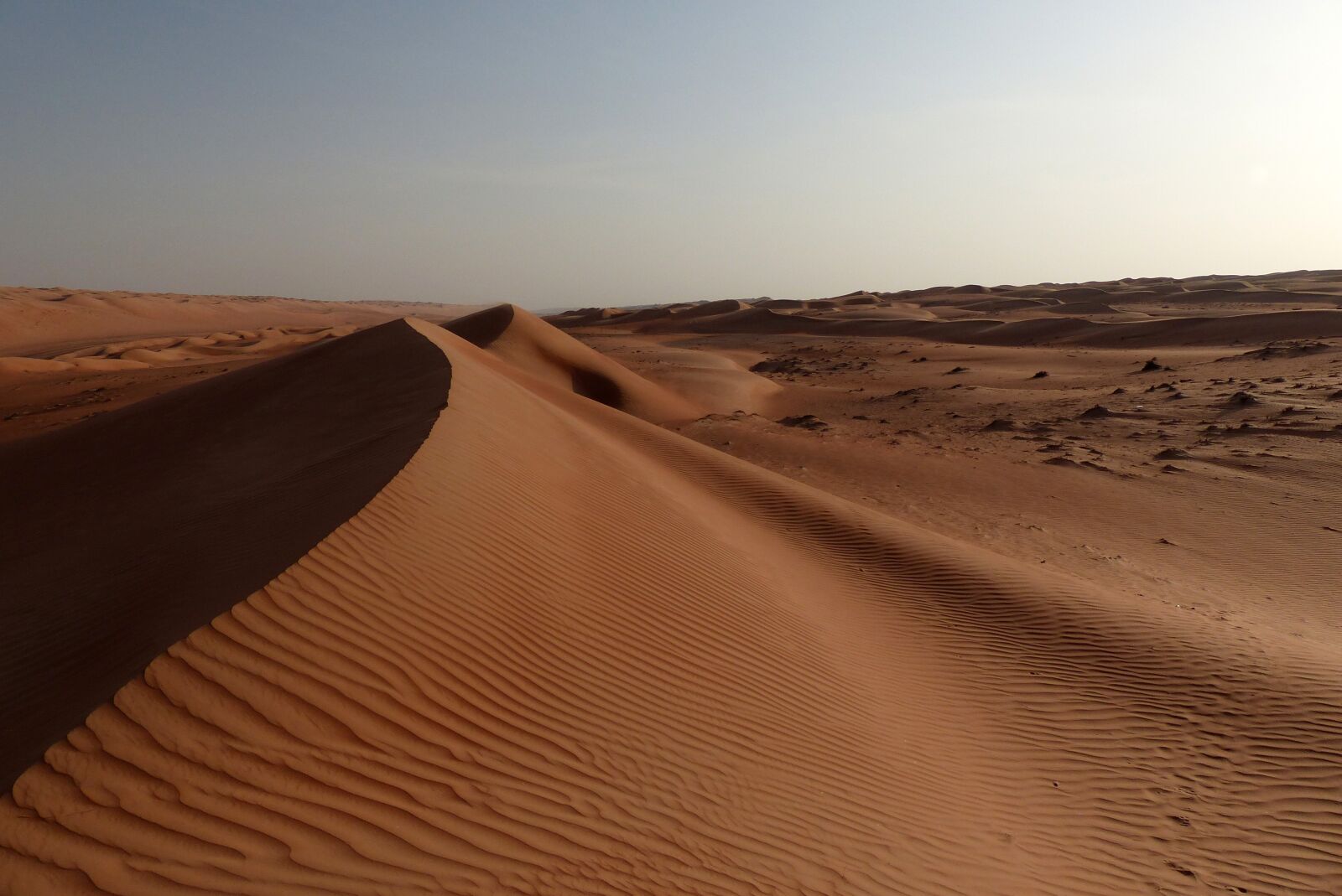 Panasonic Lumix DMC-FZ200 sample photo. Dune, dunes, oman photography