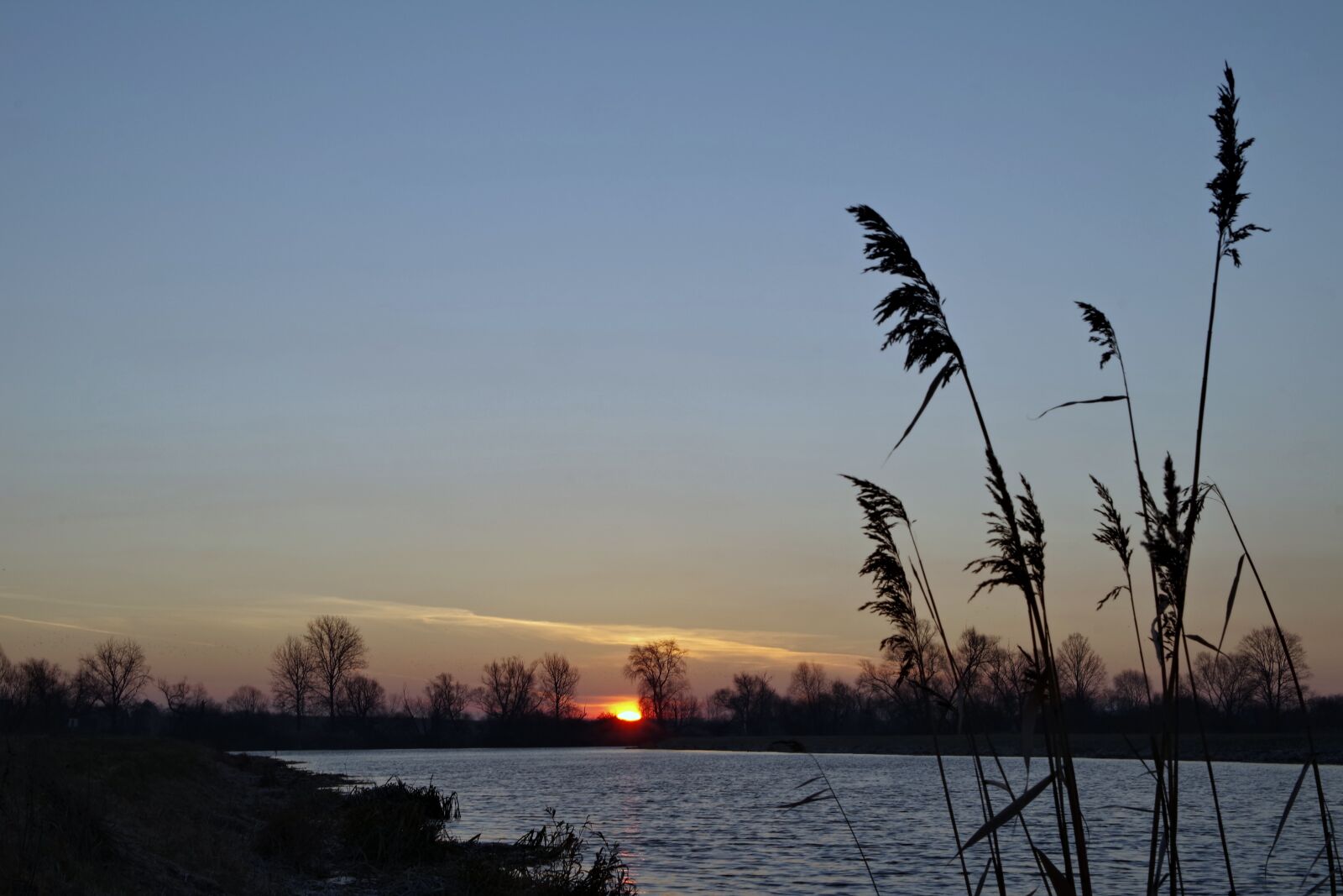 Pentax K-S2 sample photo. Morning, frost, east photography