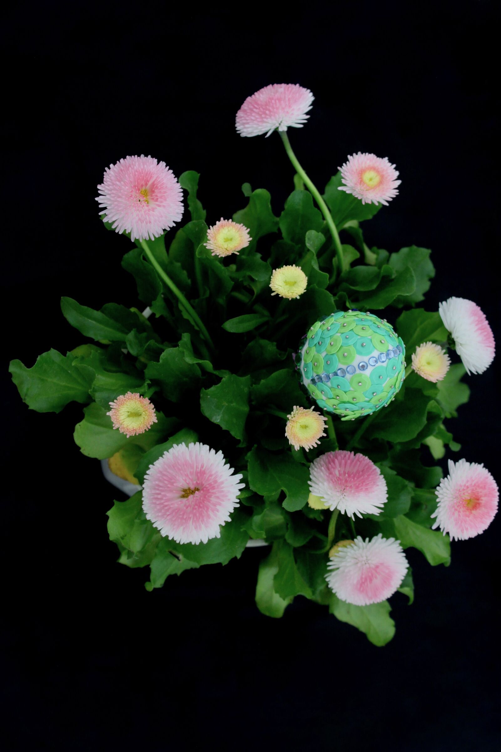 Canon EOS 500D (EOS Rebel T1i / EOS Kiss X3) sample photo. Easter, egg, flowers photography