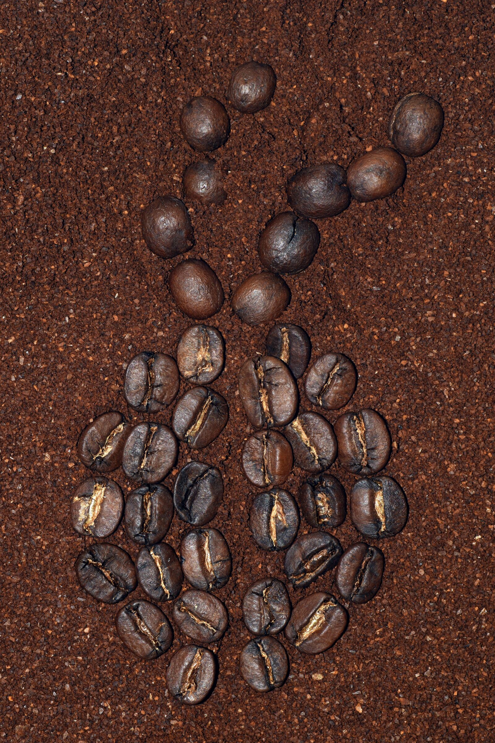 Nikon D3300 sample photo. Coffee, cafe, beans photography