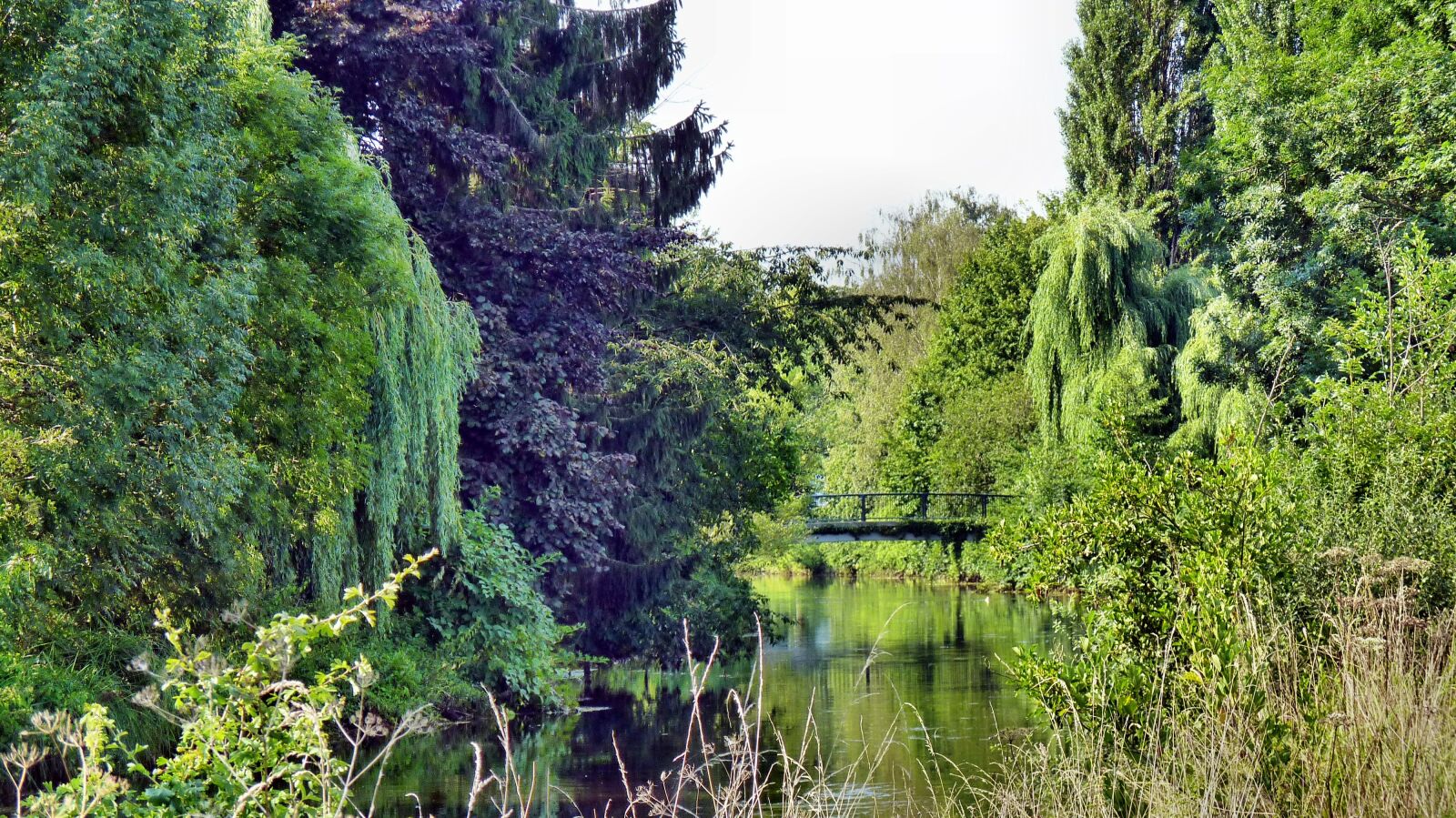 Panasonic Lumix DMC-FZ35 (Lumix DMC-FZ38) sample photo. Nature, water, trees photography