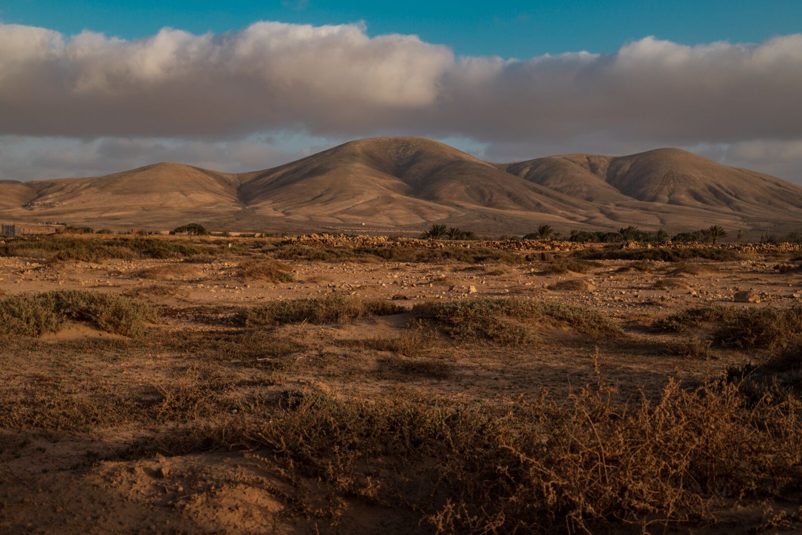 Canon EF 24-105mm F3.5-5.6 IS STM sample photo. Fuerteventura, landscape, island photography