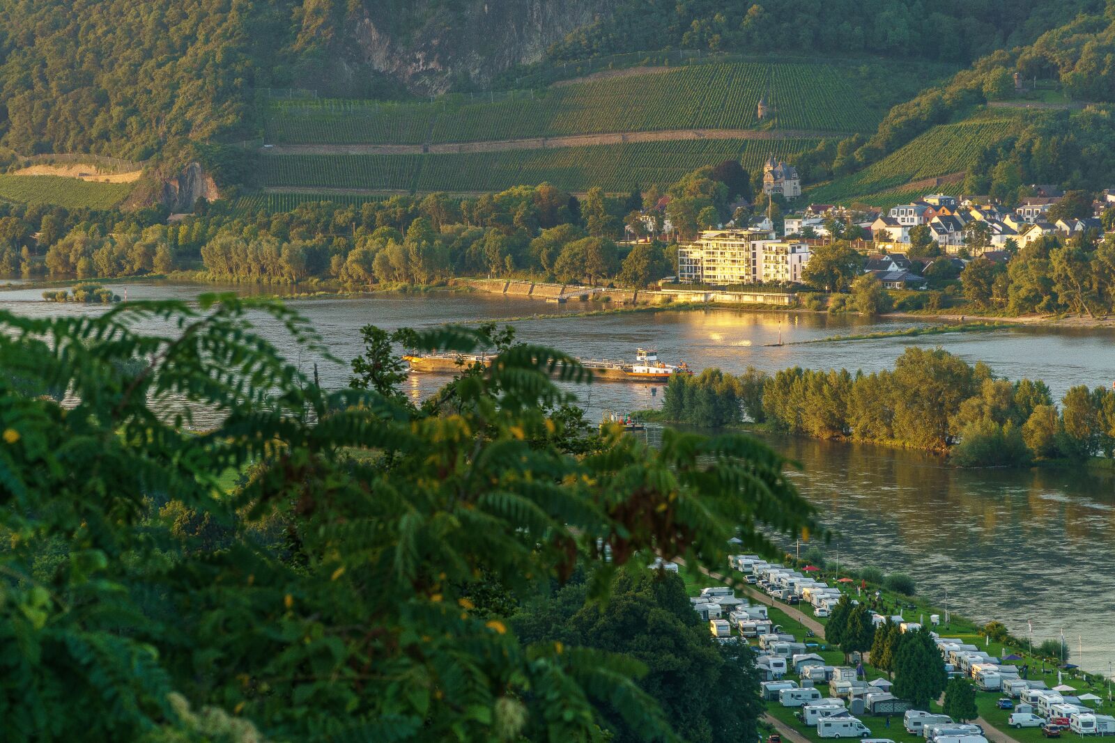 Sony a6000 + Sony E PZ 18-105mm F4 G OSS sample photo. Rhine, evening sun, bad photography
