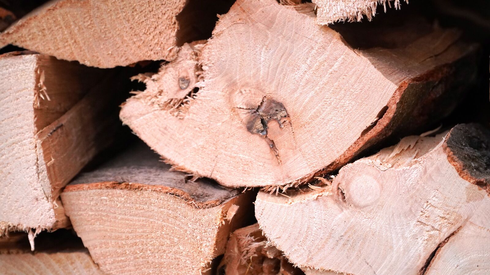 Sony E PZ 18-105mm F4 G OSS sample photo. Wood, firewood, holzstapel photography