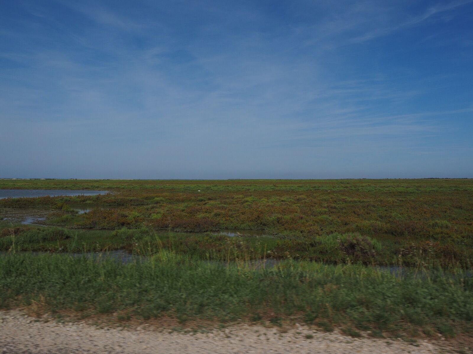 Olympus OM-D E-M1 + Olympus M.Zuiko Digital ED 12-40mm F2.8 Pro sample photo. Camargue, nature park camargue photography