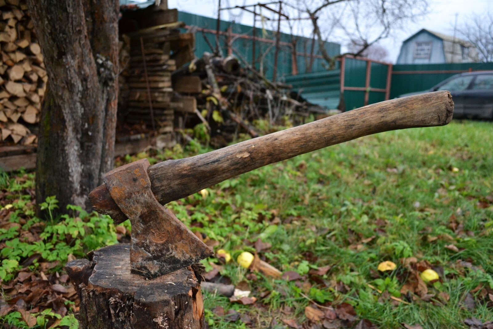 Nikon D3100 sample photo. Axe, dacha, autumn photography