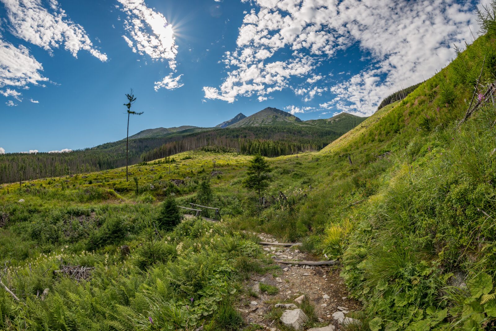 Nikon D800E sample photo. Tatras, mountains, nature photography