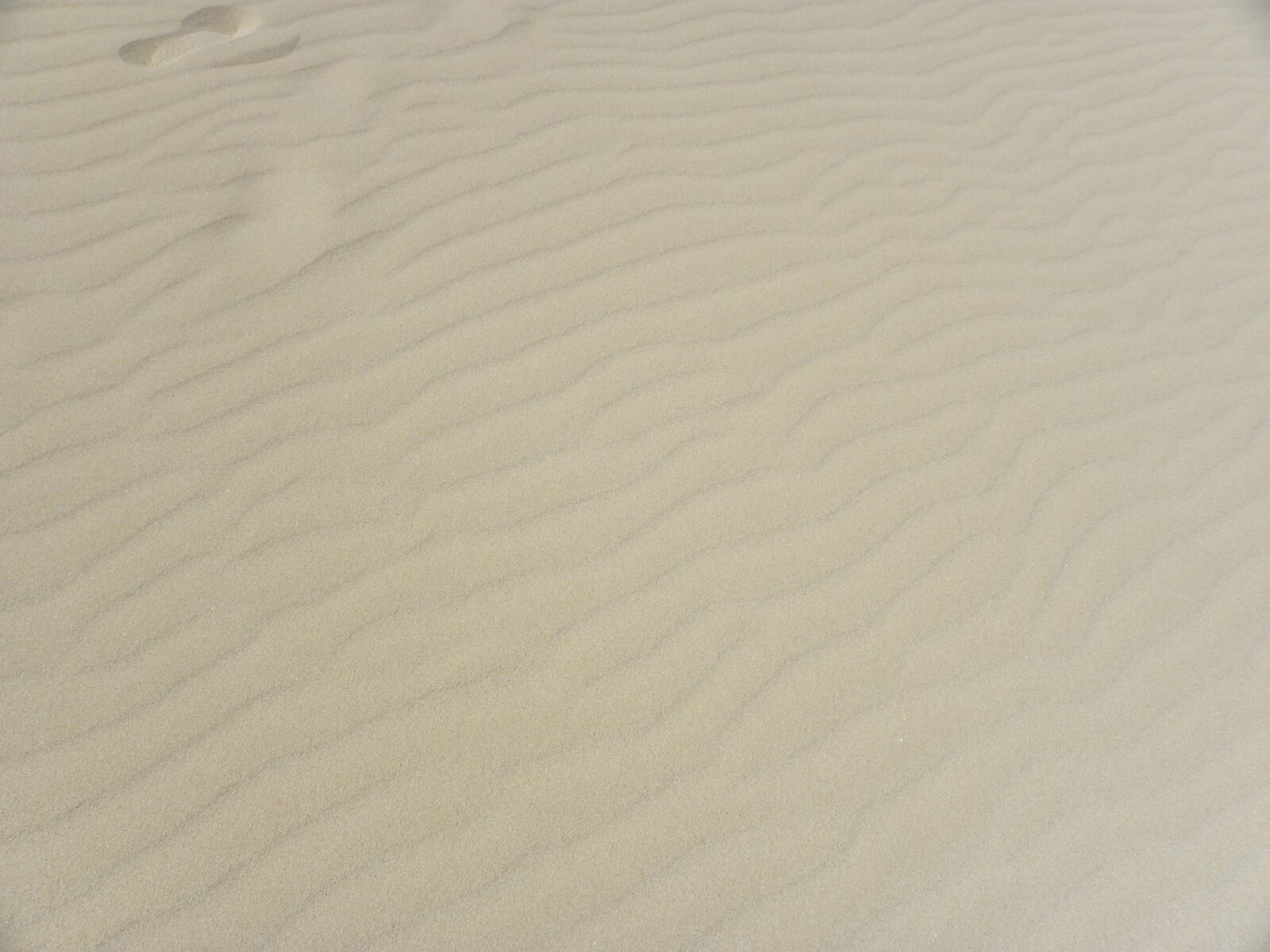 Nikon Coolpix P90 sample photo. Background, texture, sand photography