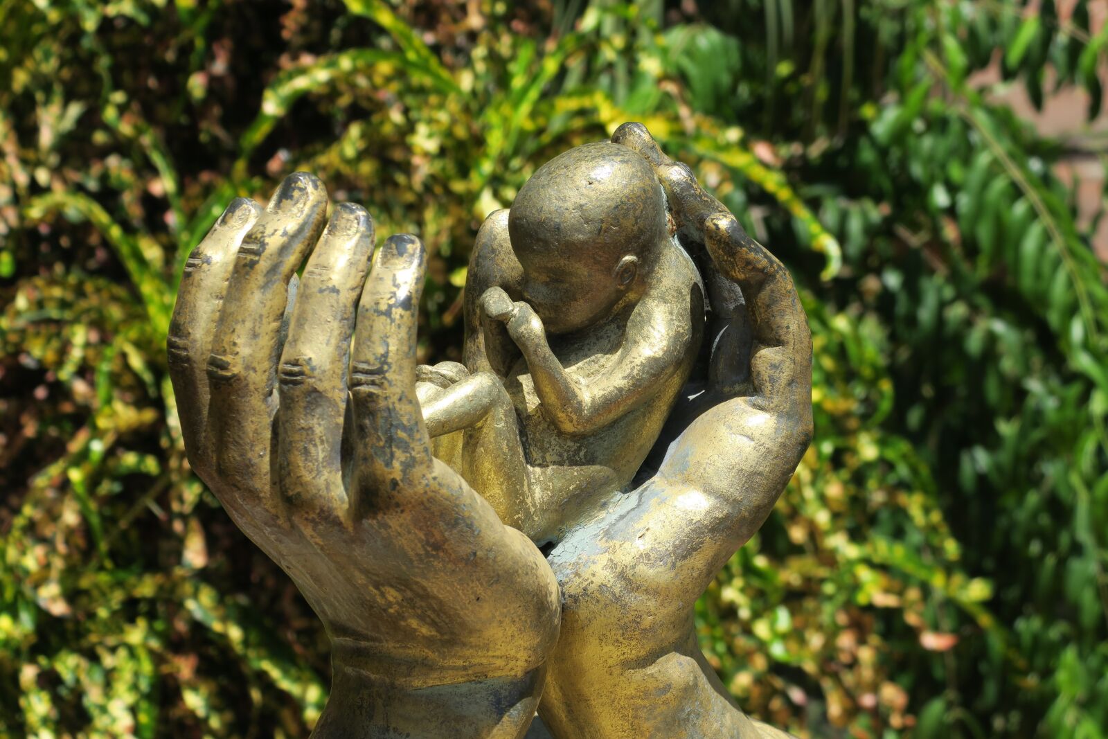 Canon PowerShot G3 X sample photo. Abortion, hand, hands photography