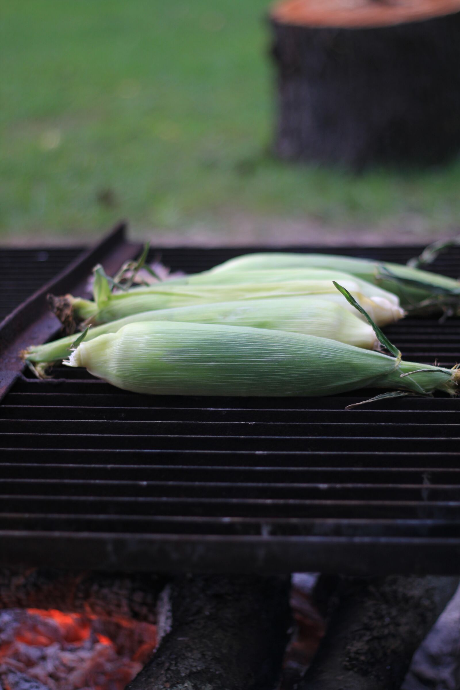 Canon EOS 550D (EOS Rebel T2i / EOS Kiss X4) sample photo. Corn roast, corn, fire photography