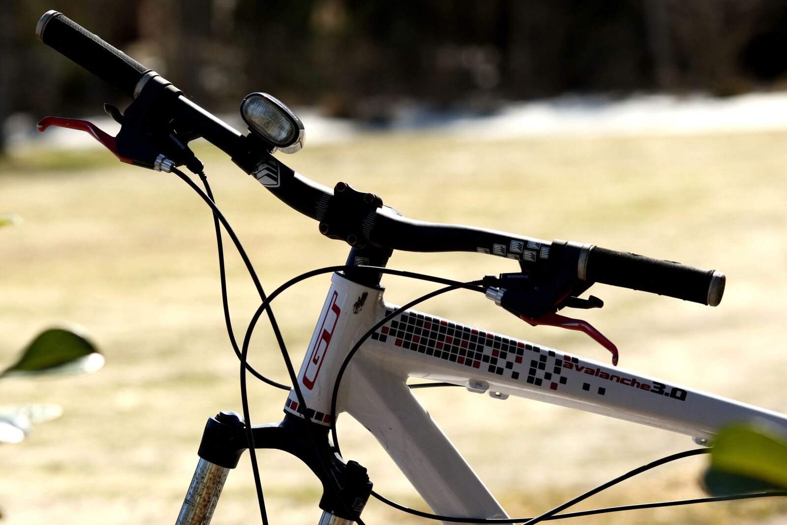 Canon EOS 7D Mark II + Canon EF 135mm F2L USM sample photo. Bike, outdoors, cycle photography