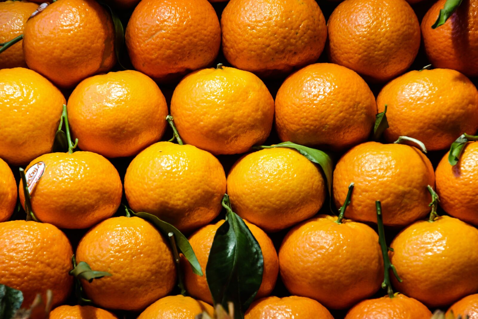 Canon EOS 70D sample photo. Eat, orange, sweet photography