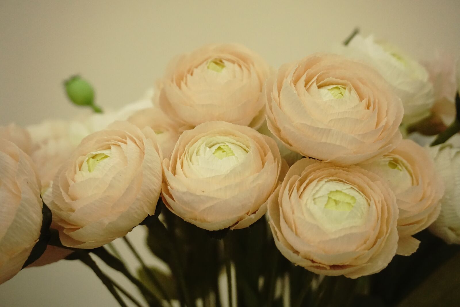 Sony E 16-50mm F3.5-5.6 PZ OSS sample photo. Paper flowers, crepe paper photography