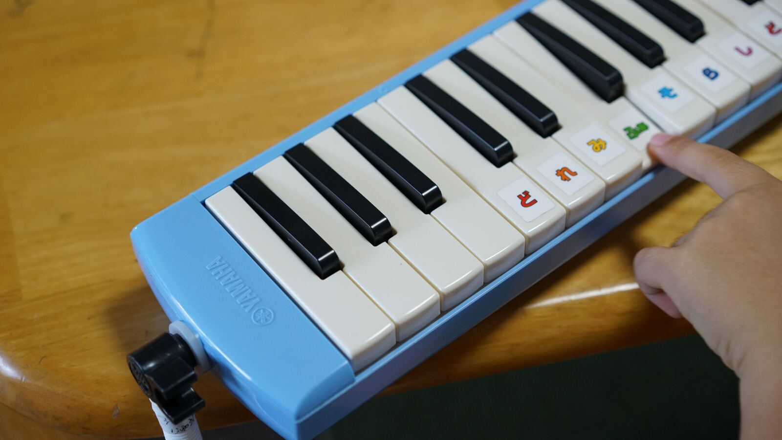 Sony a7R II + Sony Sonnar T* FE 55mm F1.8 ZA sample photo. Keyboard, harmonica, musical instruments photography