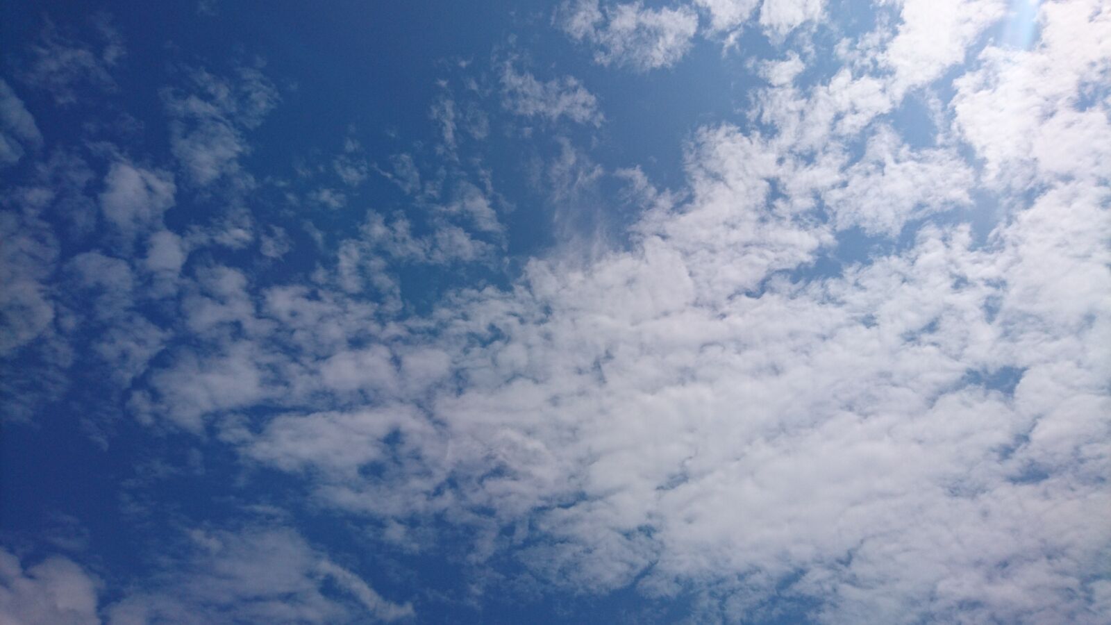 Sony Xperia Z5 sample photo. Blue, nature, freedom photography