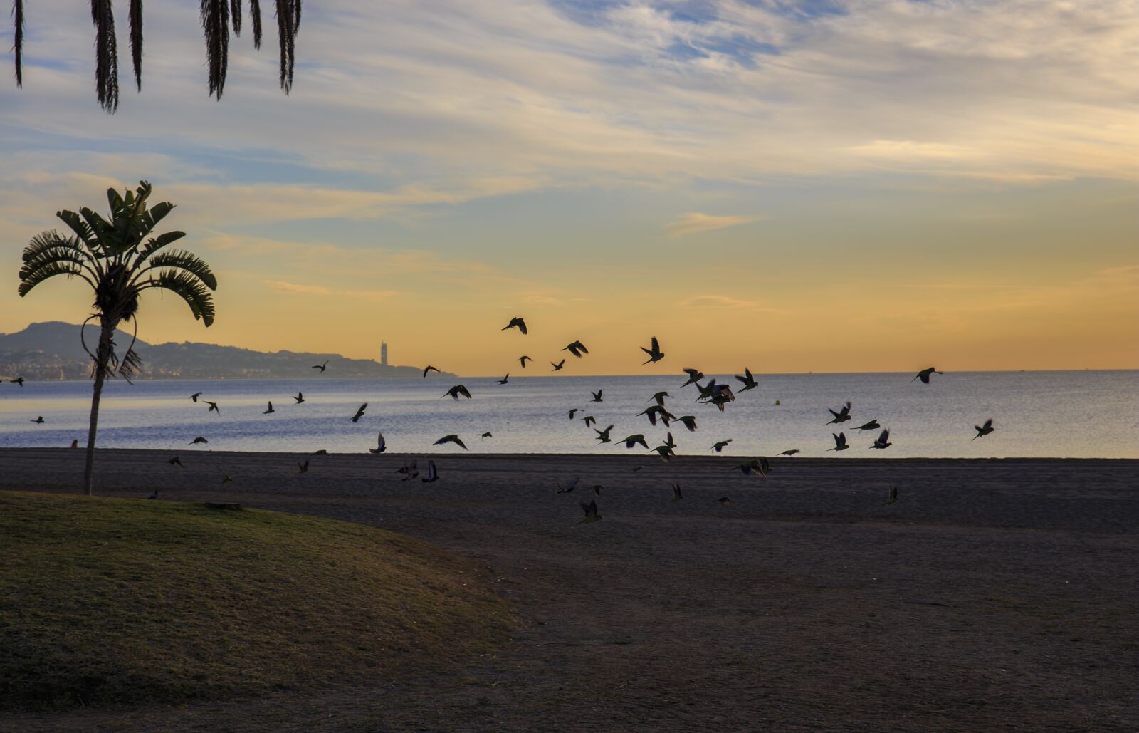 Canon 24-70mm F2.8 DG OS HSM | Art 017 sample photo. Malaga, spain, costa de photography
