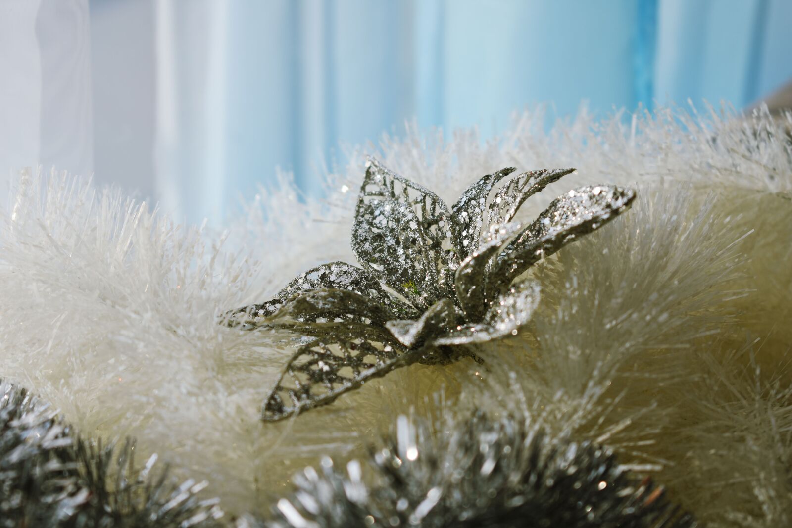Nikon D3400 sample photo. Christmas, joy, winter time photography