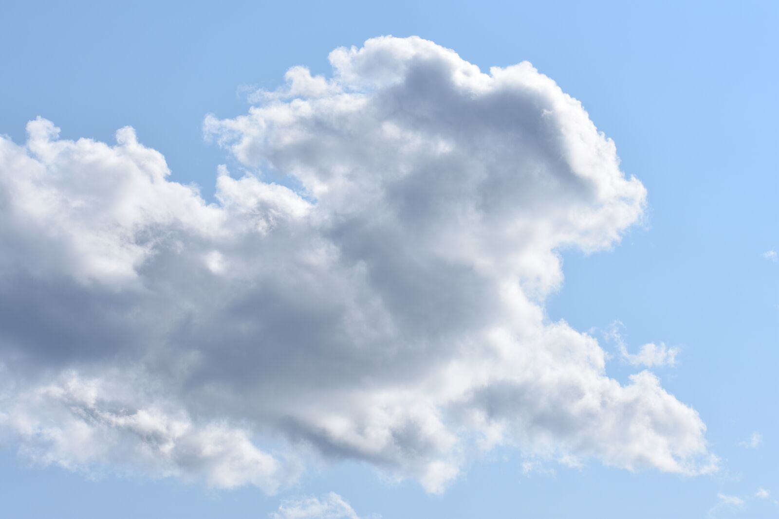 Nikon D3400 sample photo. Rabbit, clouds, easter photography