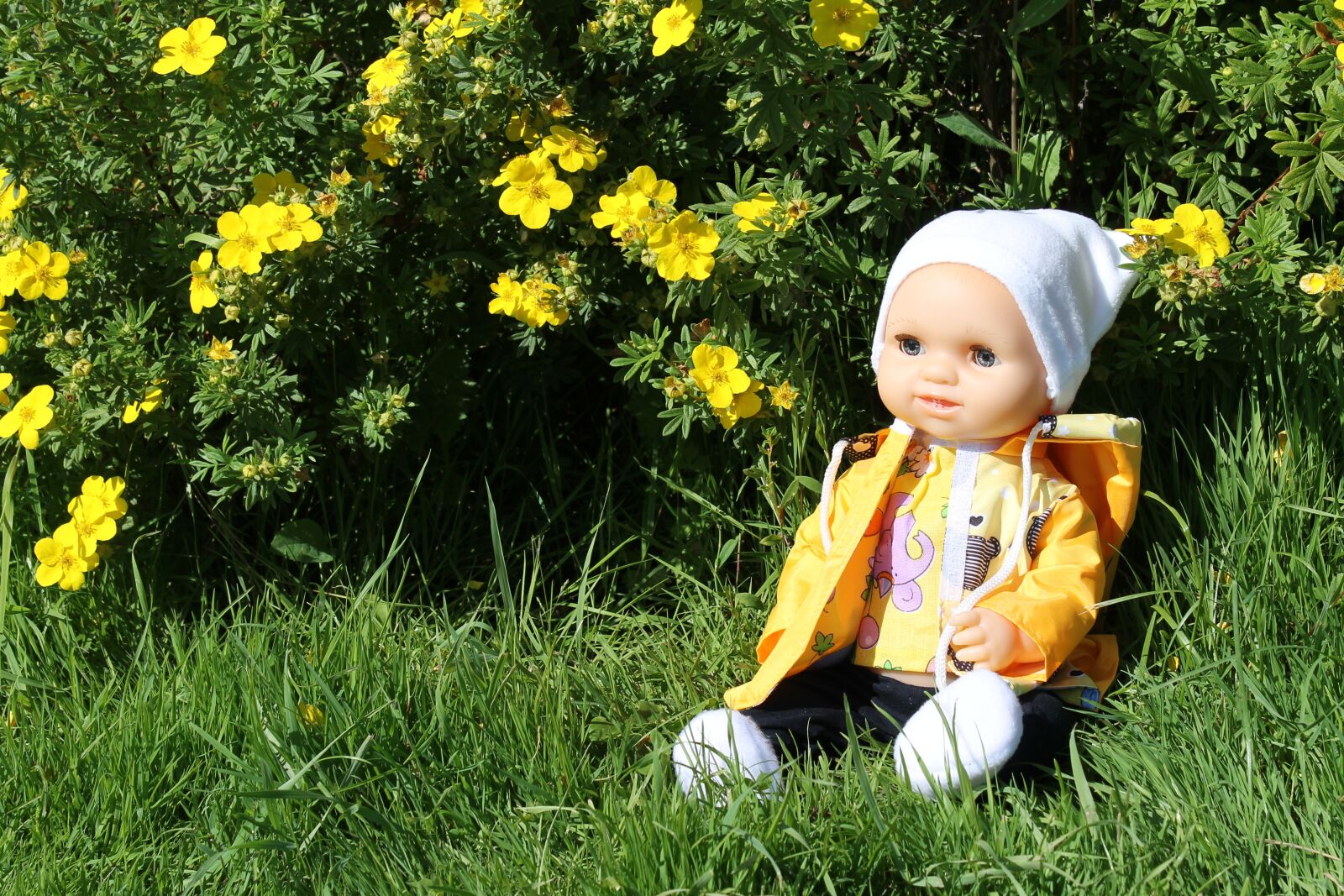 Canon EOS 1100D (EOS Rebel T3 / EOS Kiss X50) sample photo. Toy, clothing, greens photography